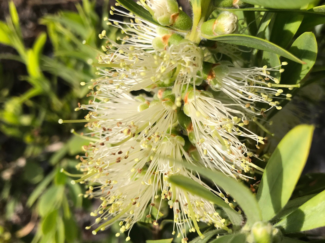 Graeme Edwards Memorial Park-Yallourn North必去景点