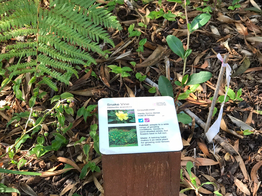 Mrs York's Garden-麦克夸利港必去景点