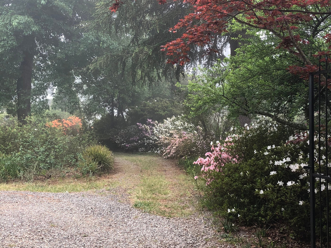 Granny Mouse House主图