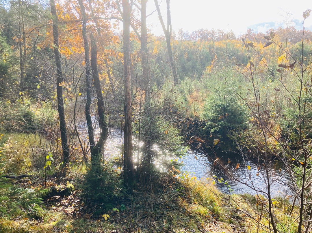 Grytåsa strövområde