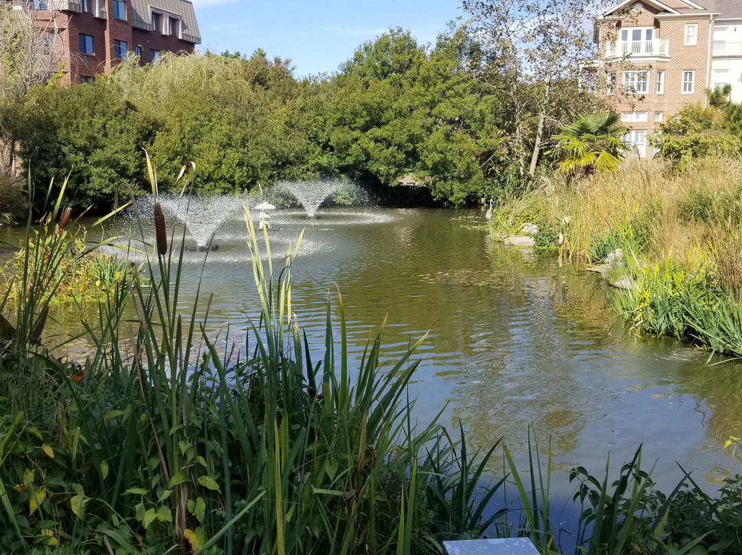 Pagoda & Oriental Garden-诺福克必去景点