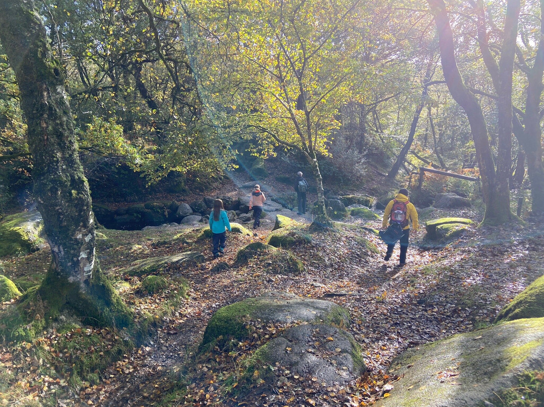 Dartmoor Walks This Way-Ashburton必去景点