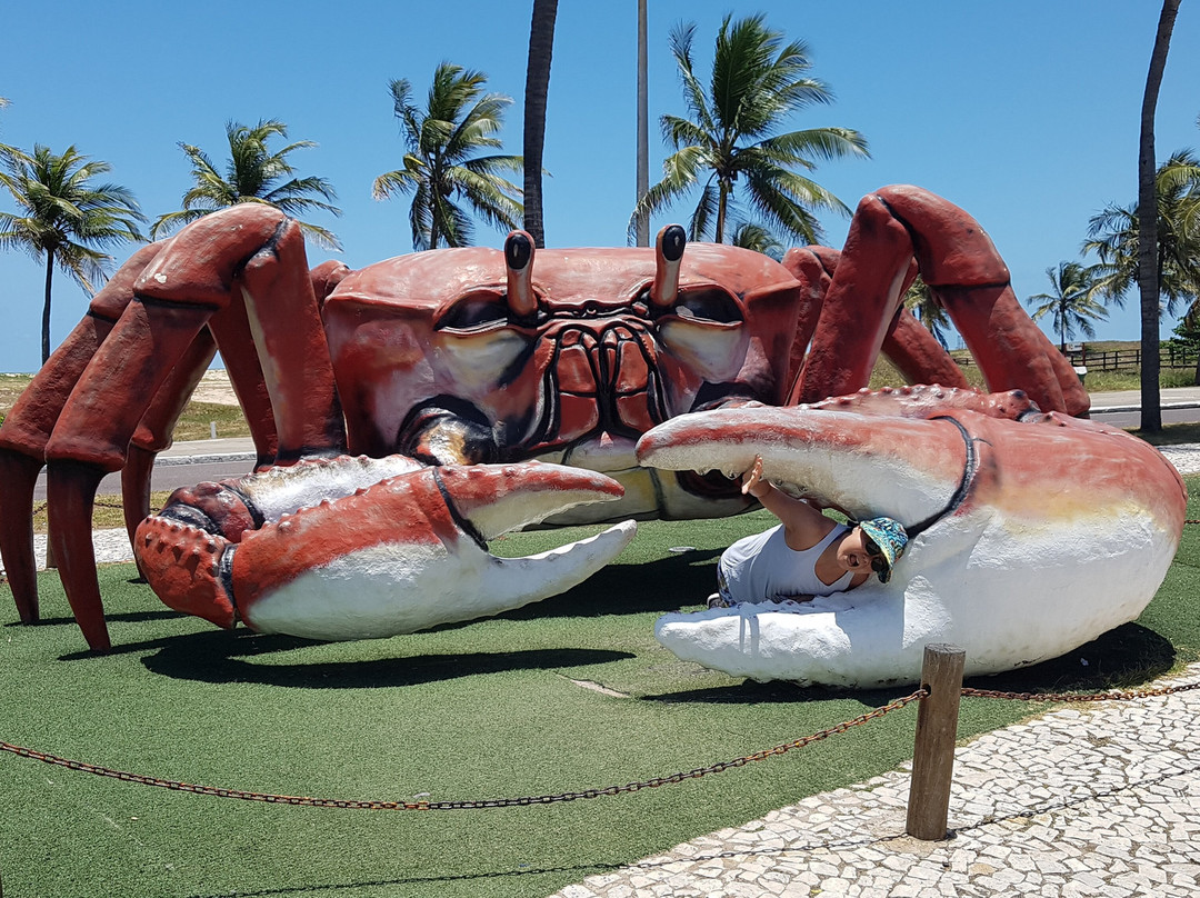 Passarela do Caranguejo-阿拉卡茹必去景点