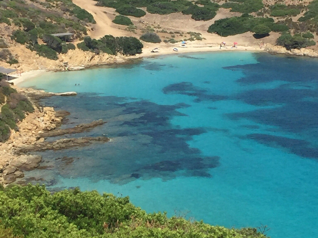 Cala dei Ponzesi-Asinara必去景点