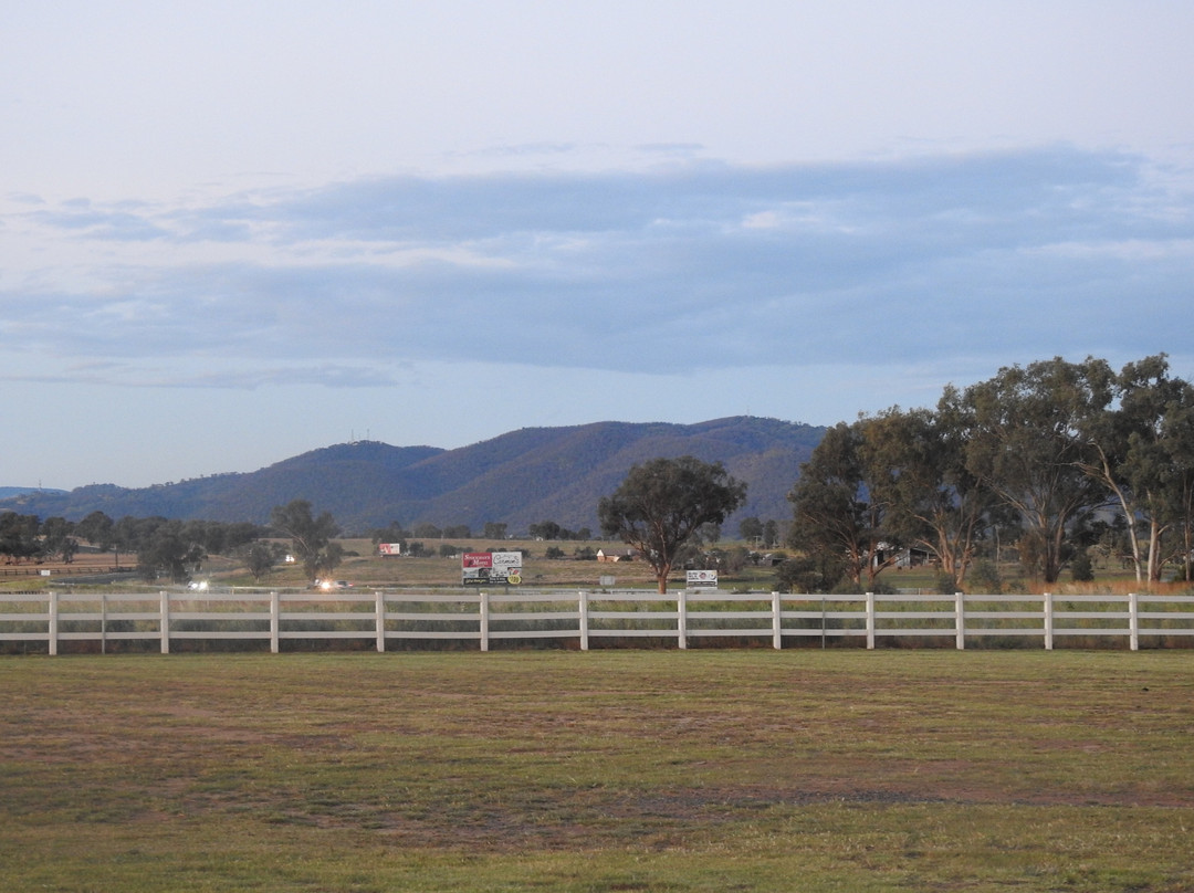 Stockman's Motel主图