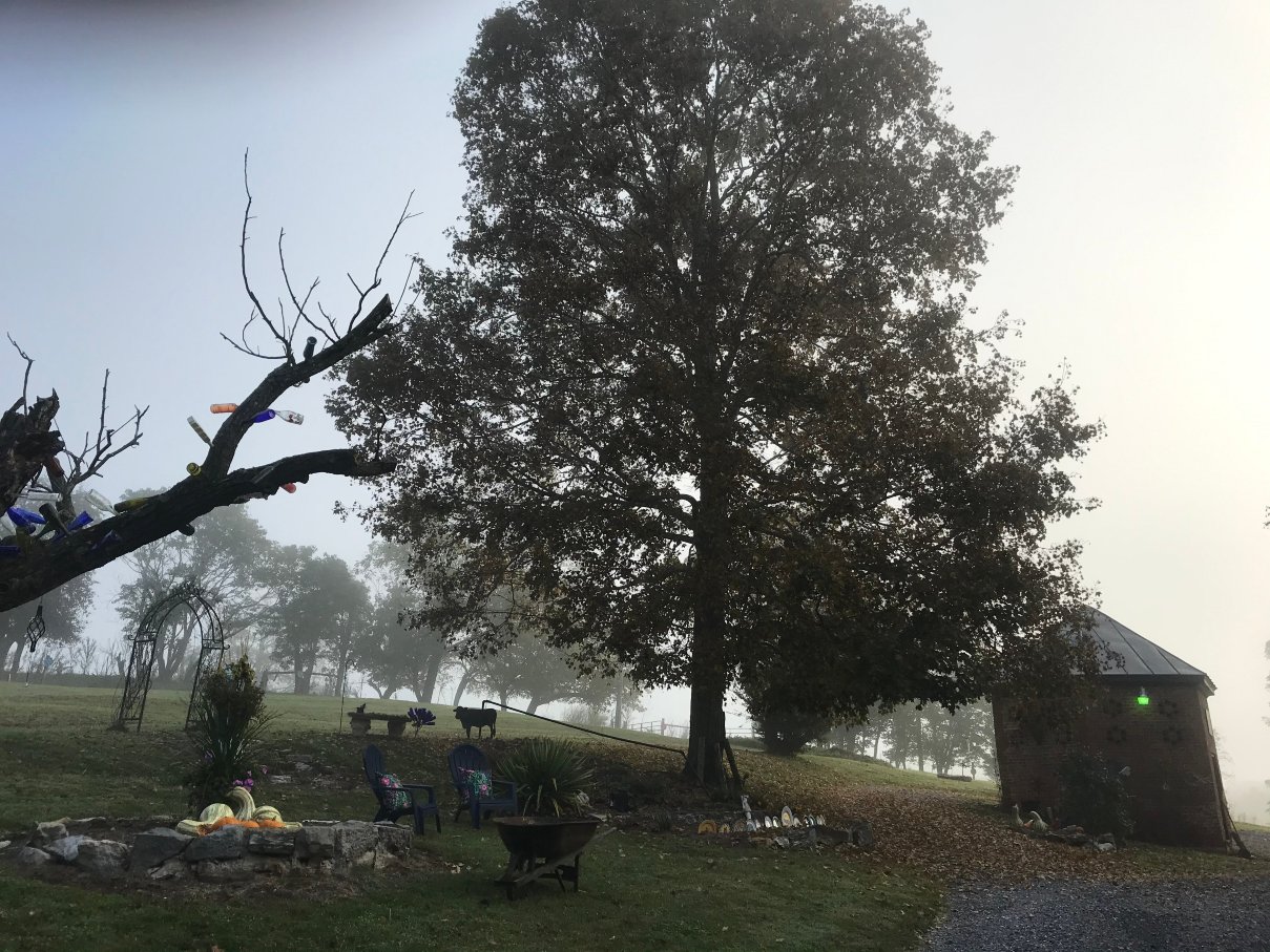 Herring Hall Bed and Breakfast-浴室