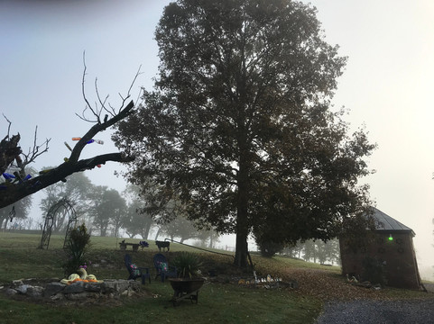 Herring Hall Bed and Breakfast主图