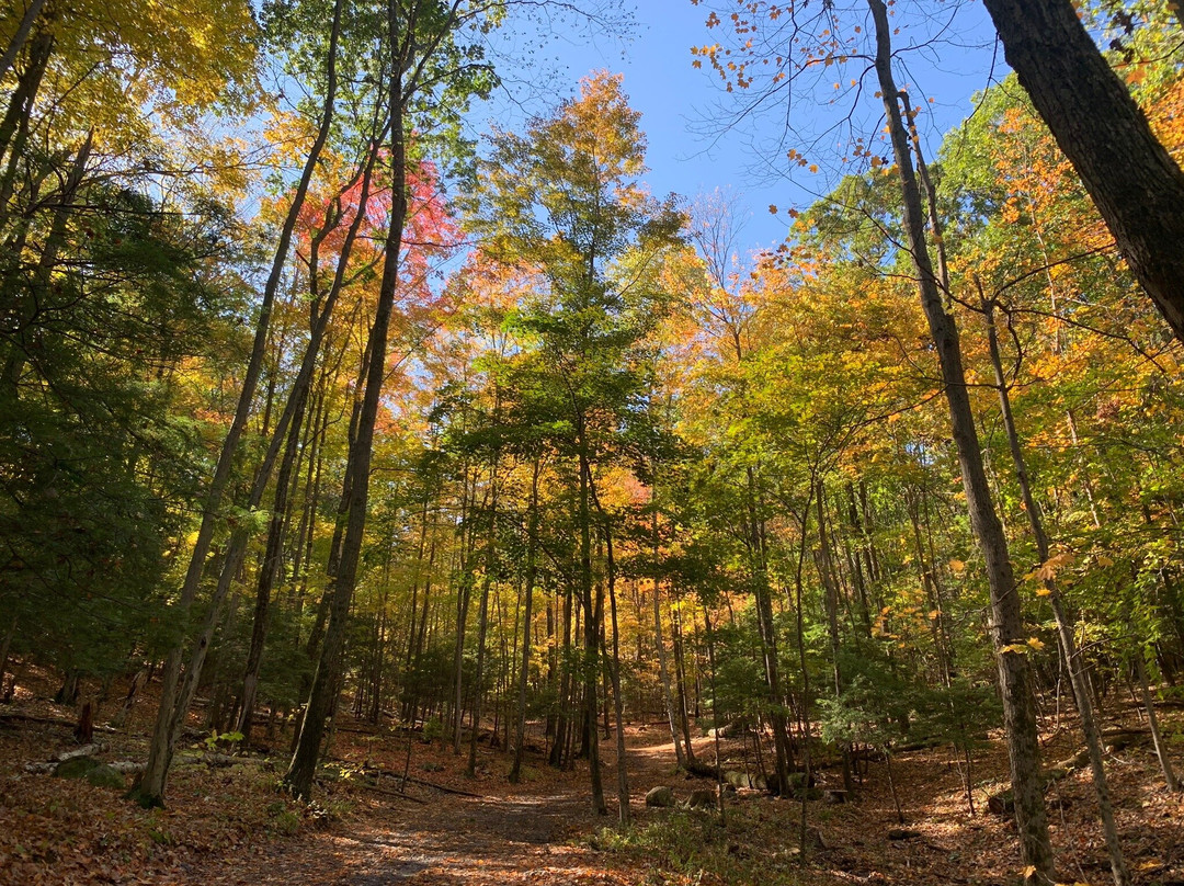 Talcott Mountain State Park-锡姆斯伯里必去景点