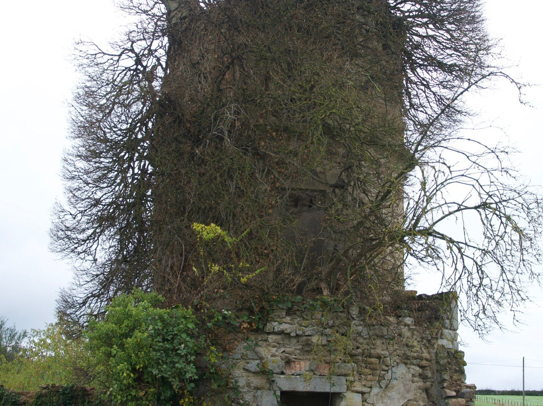 Chateau de Millery主图
