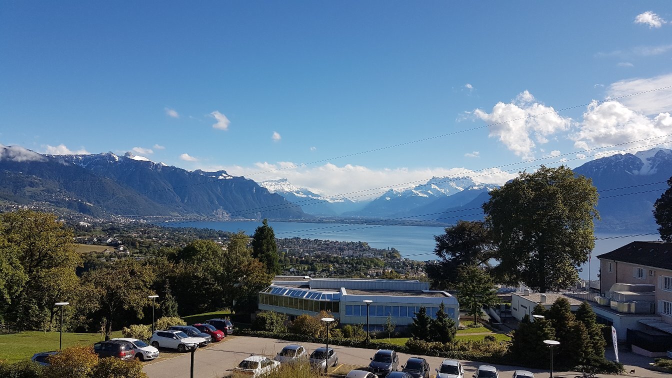Hotel Du Leman - Centre De Seminaires-官方