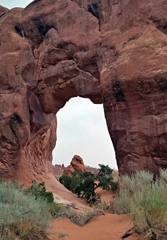 Pine Tree Arch-拱门国家公园必去景点