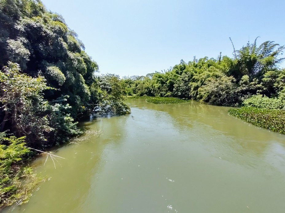 Parque Municipal Ilha Grande景点图片