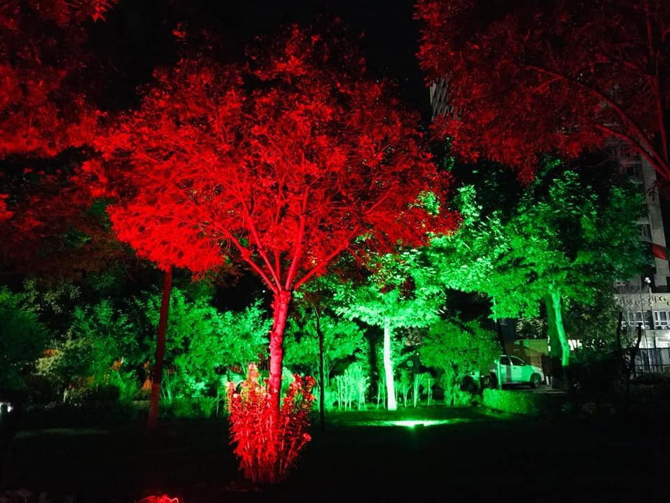 Park Star Hotel主图