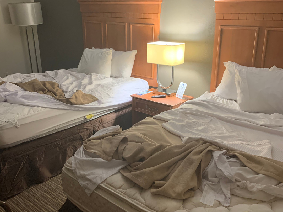 Travelodge by Wyndham Jackson主图