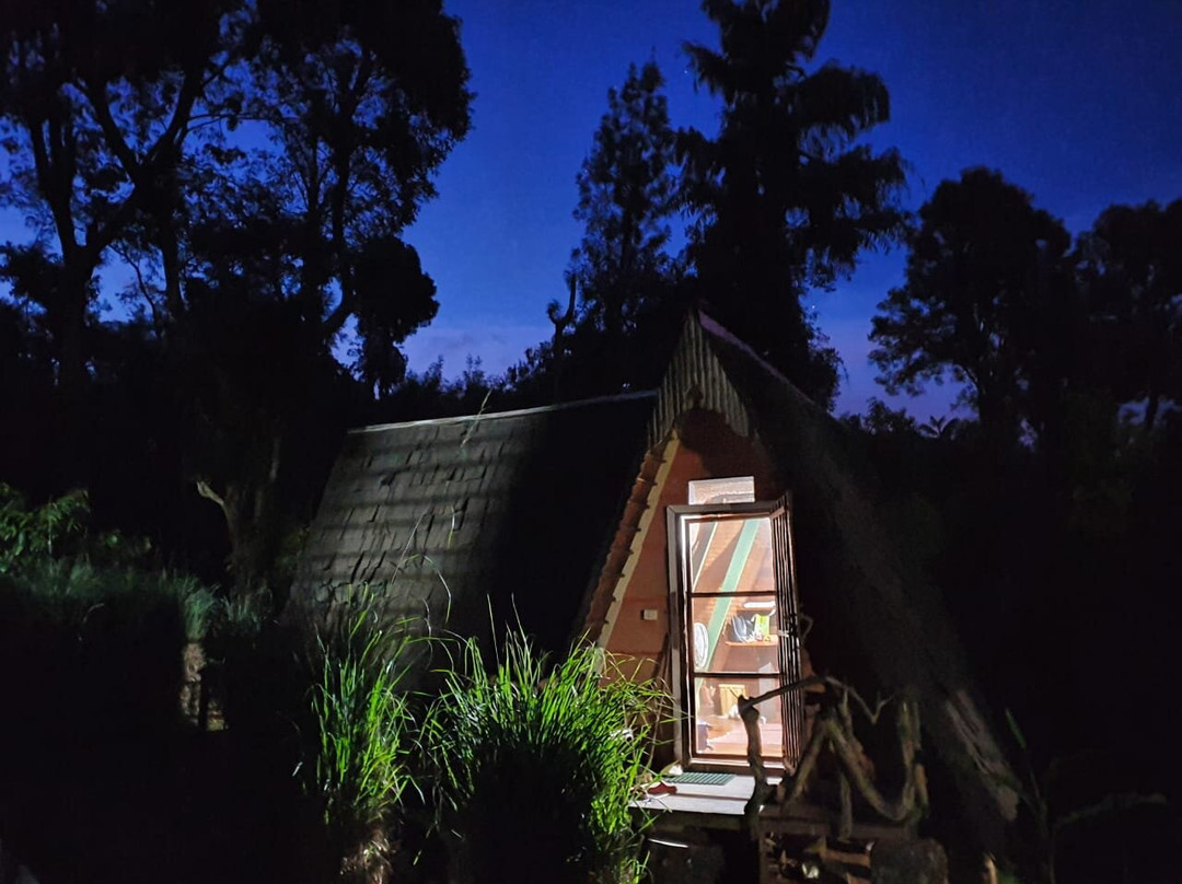 Turtle Pond Home Stay主图