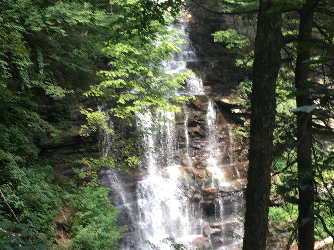 Ricketts Glen State Park景点图片