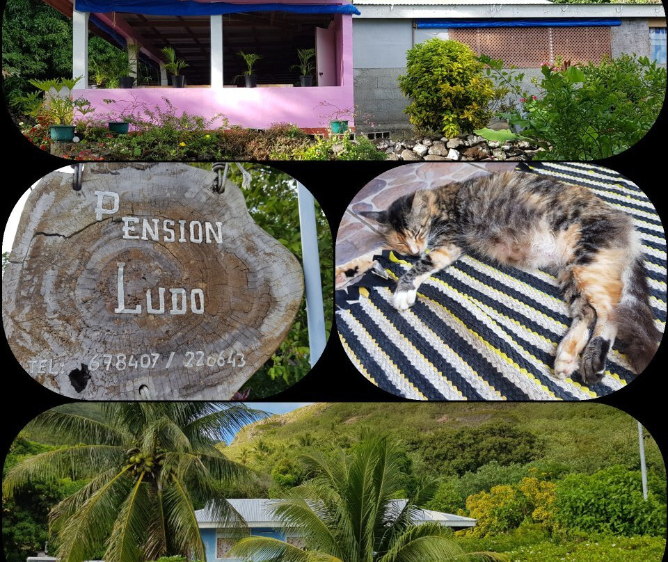 Pension Ludo et Moyra主图