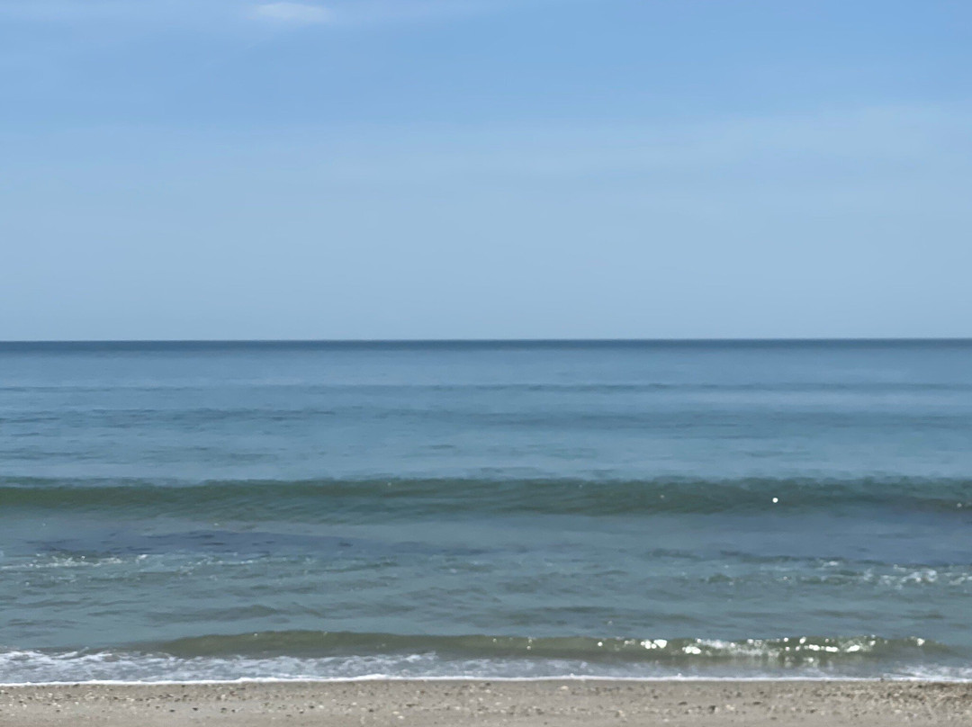 Pelican Beach Park景点图片