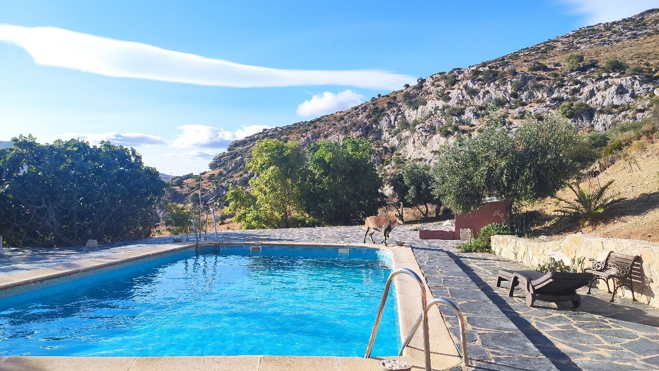 El Refugio de Alamut-官方