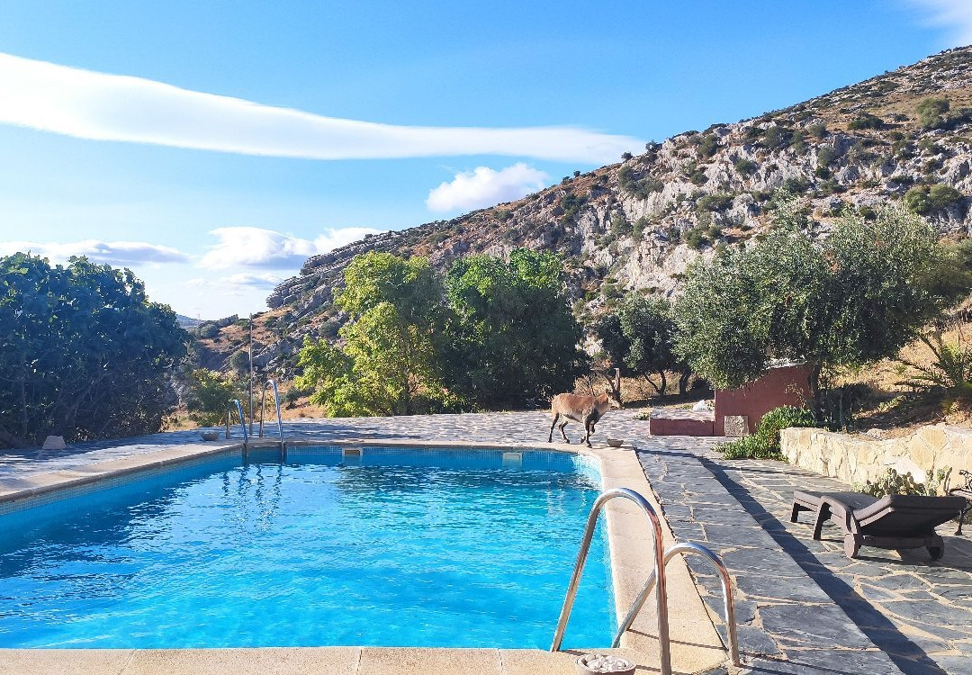 El Refugio de Alamut主图