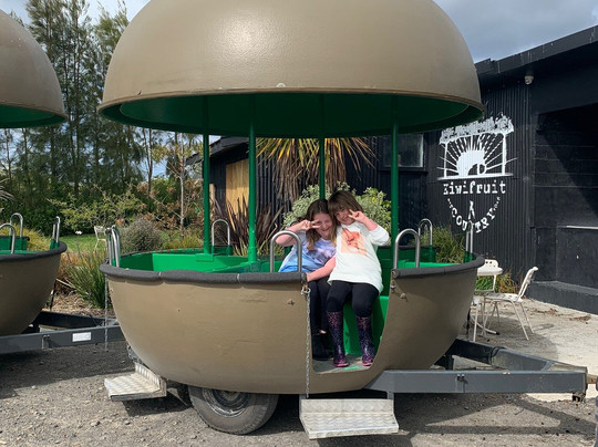 Kiwifruit Country-Paengaroa必去景点