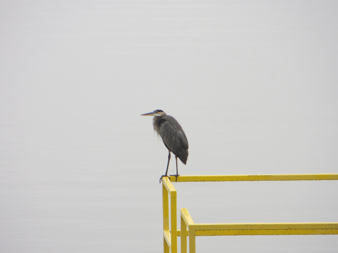 Rocky Point Park-Queen City必去景点