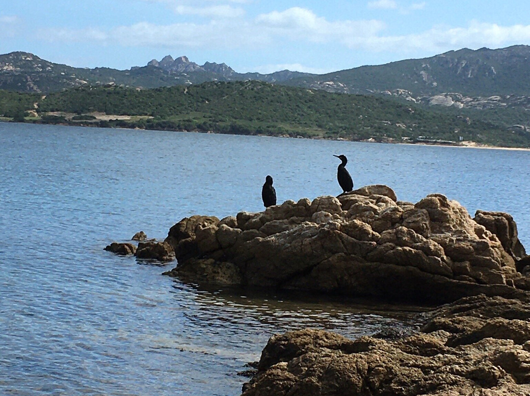 Golfo di Arzachena-Arzachena必去景点