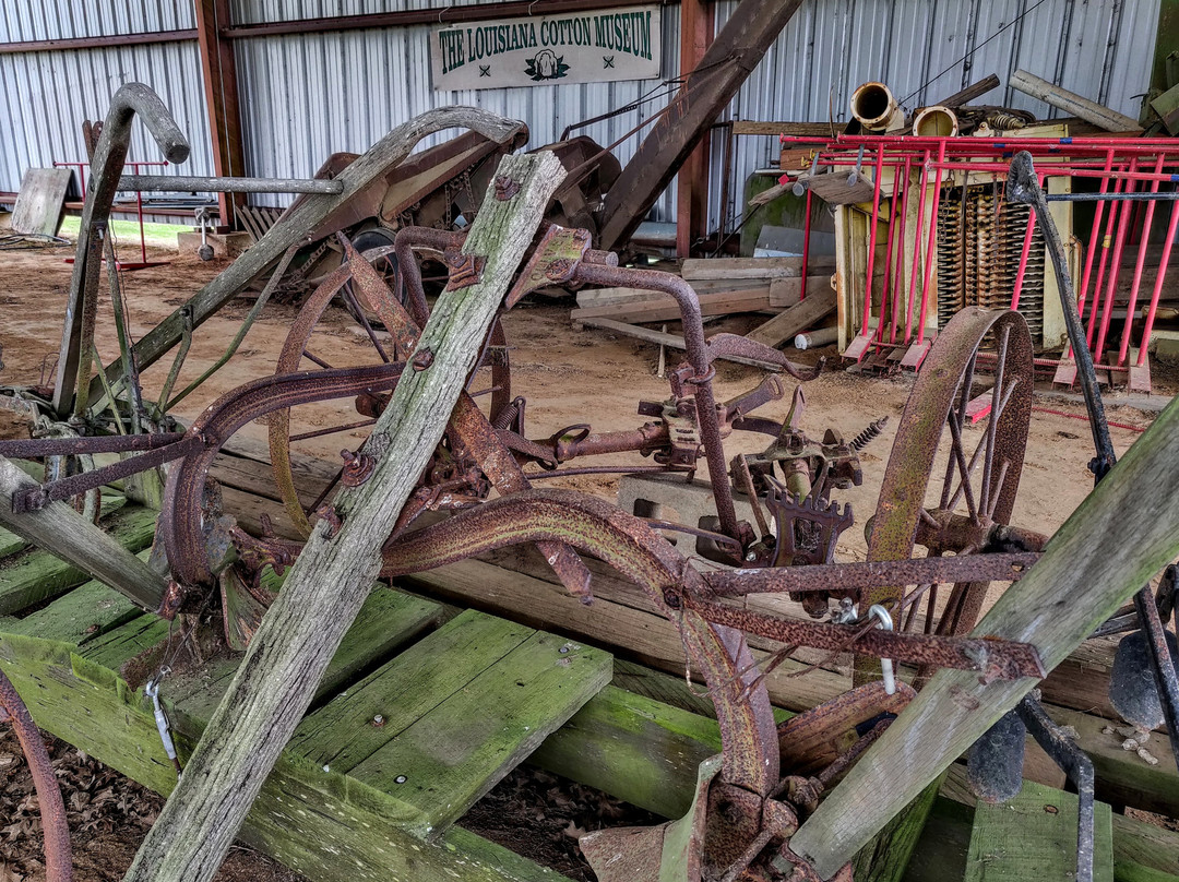 Louisiana State Cotton Museum景点图片