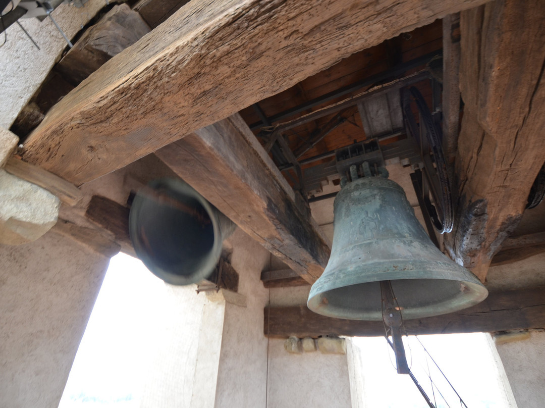 Campanile del Duomo di Pistoia景点图片