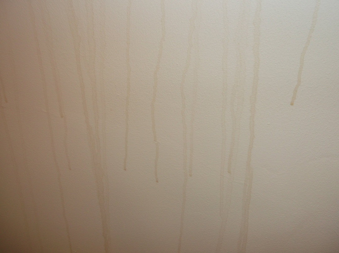 Muncaster's Coachman's Quarters主图