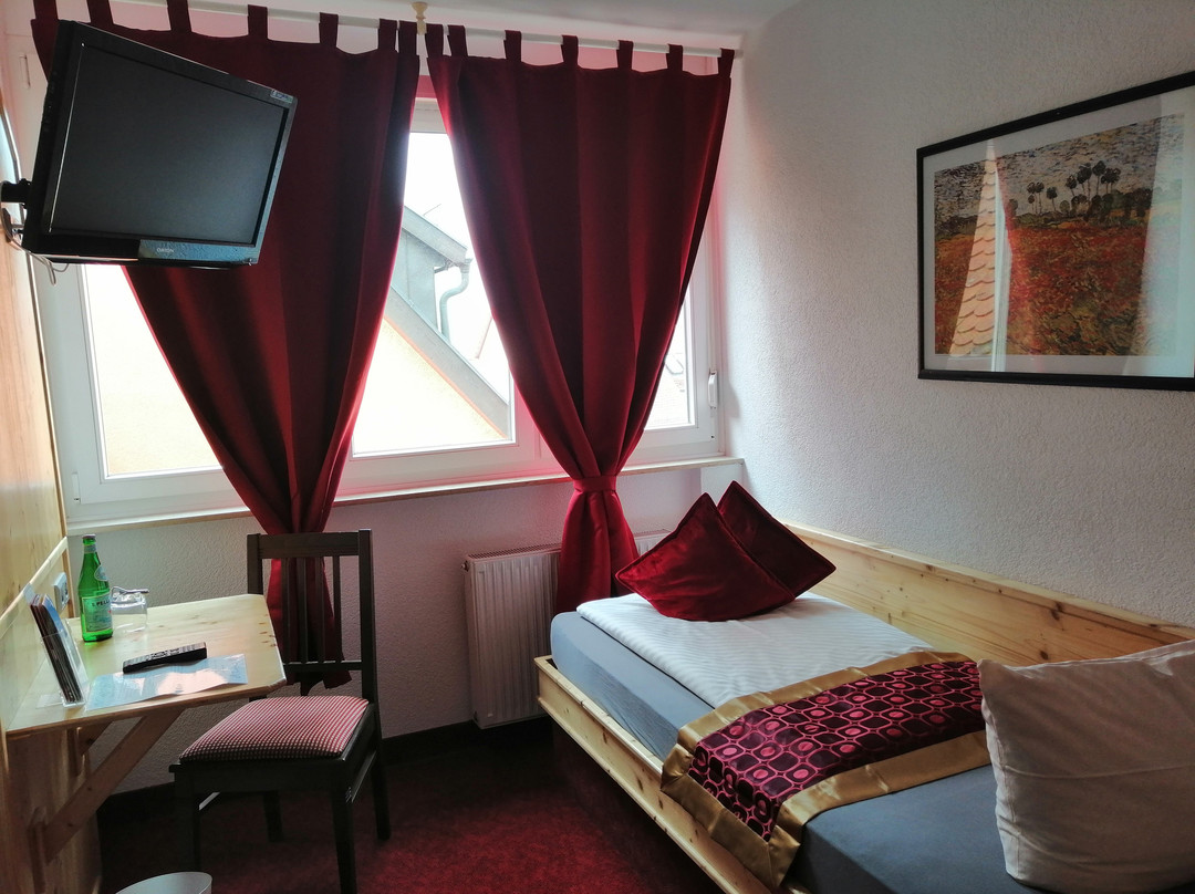 Hotel Wilder Mann主图