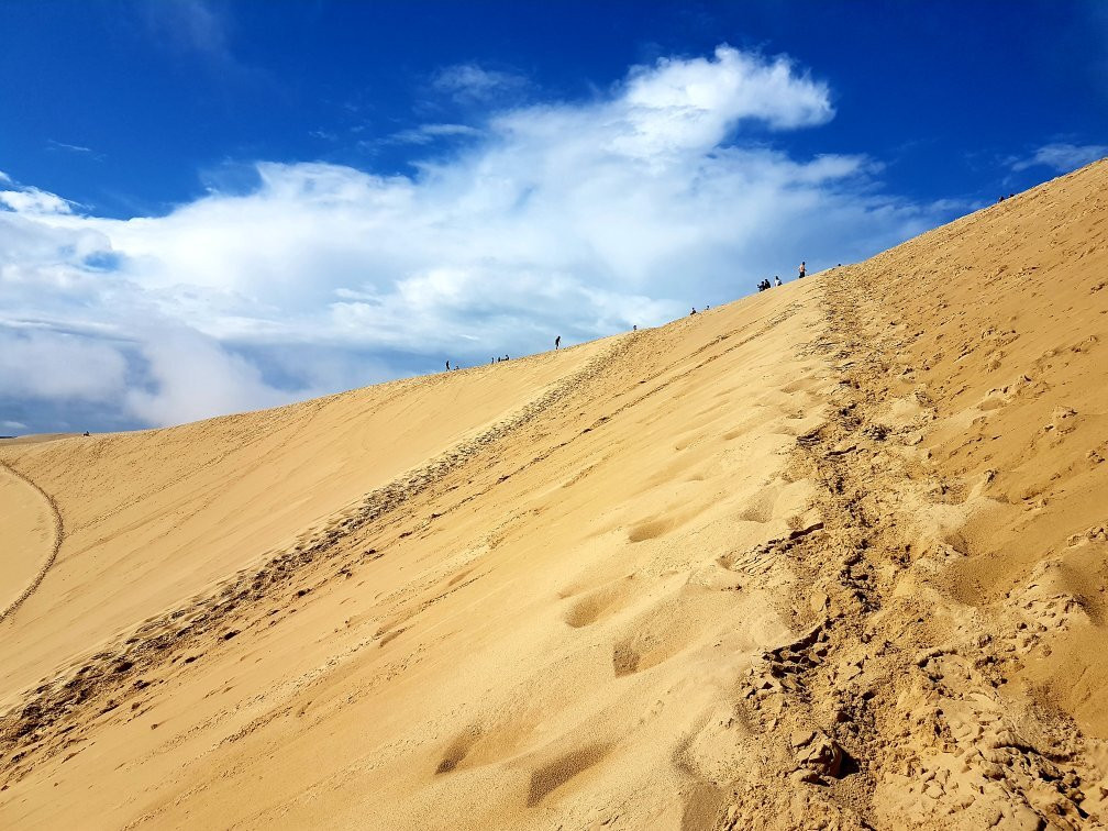 皮拉大沙丘景点图片