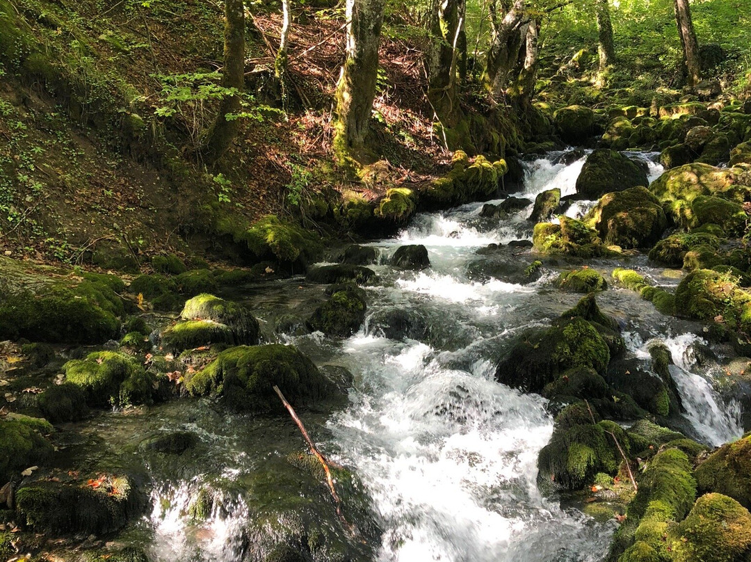 Tara Springs Park景点图片