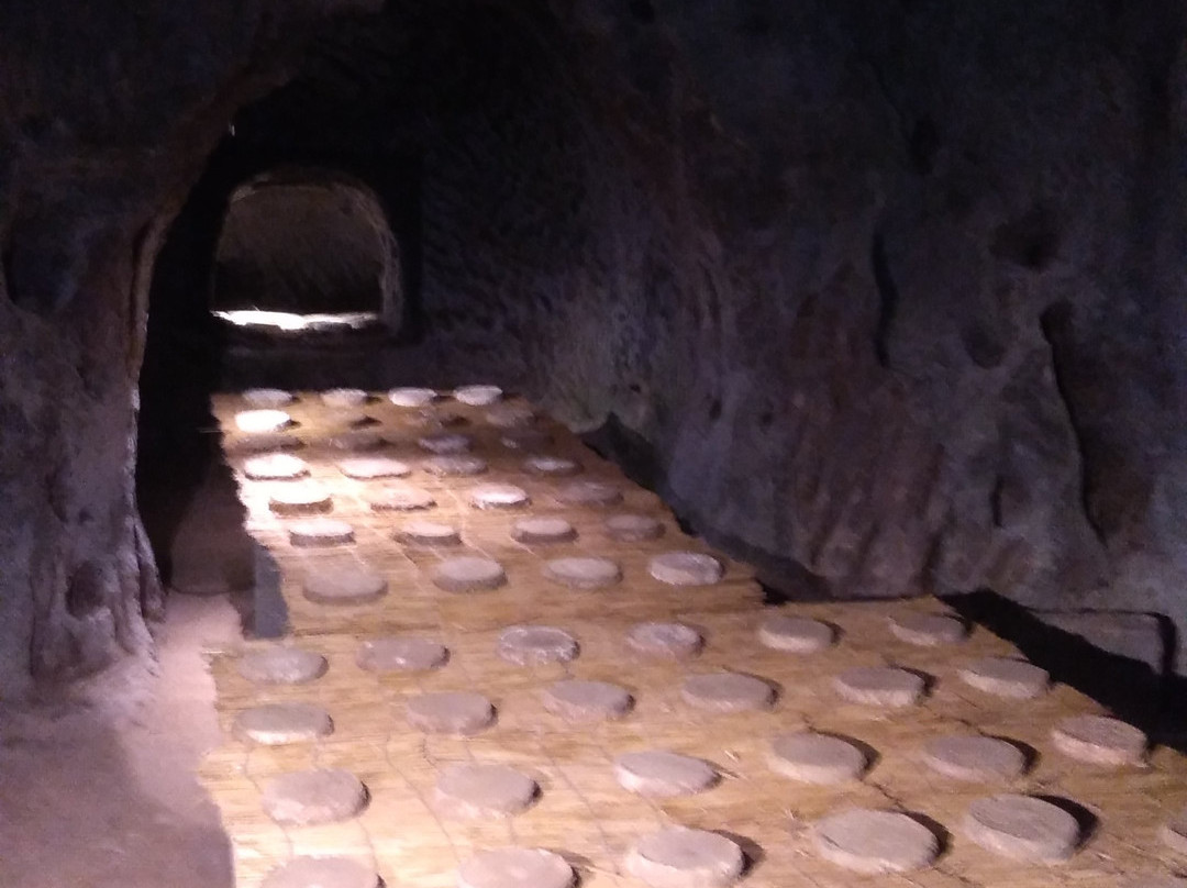 Ferme Bellonte景点图片