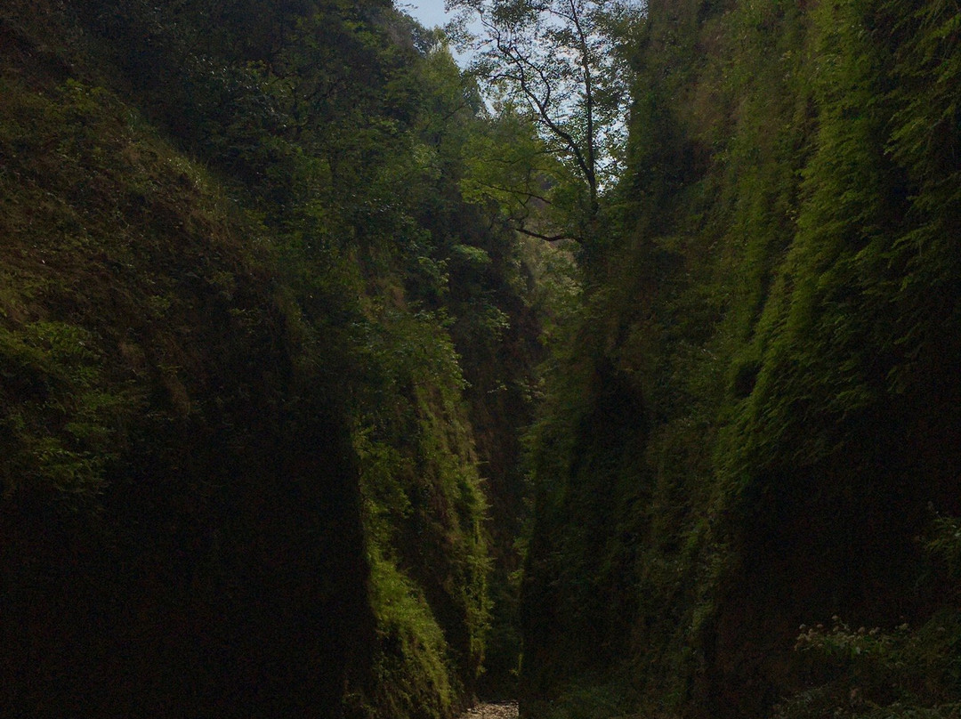Riserva Naturale Regionale delle Valli Cupe景点图片