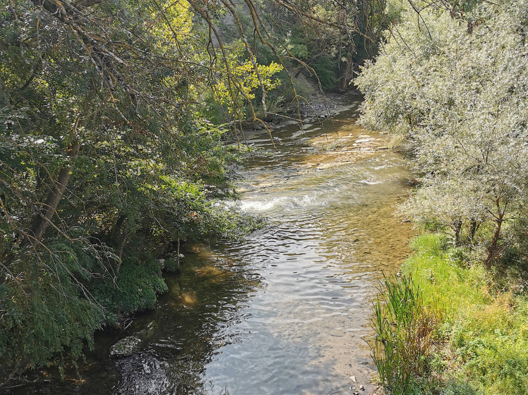 Parque Fluvial del Arga-潘普洛纳必去景点
