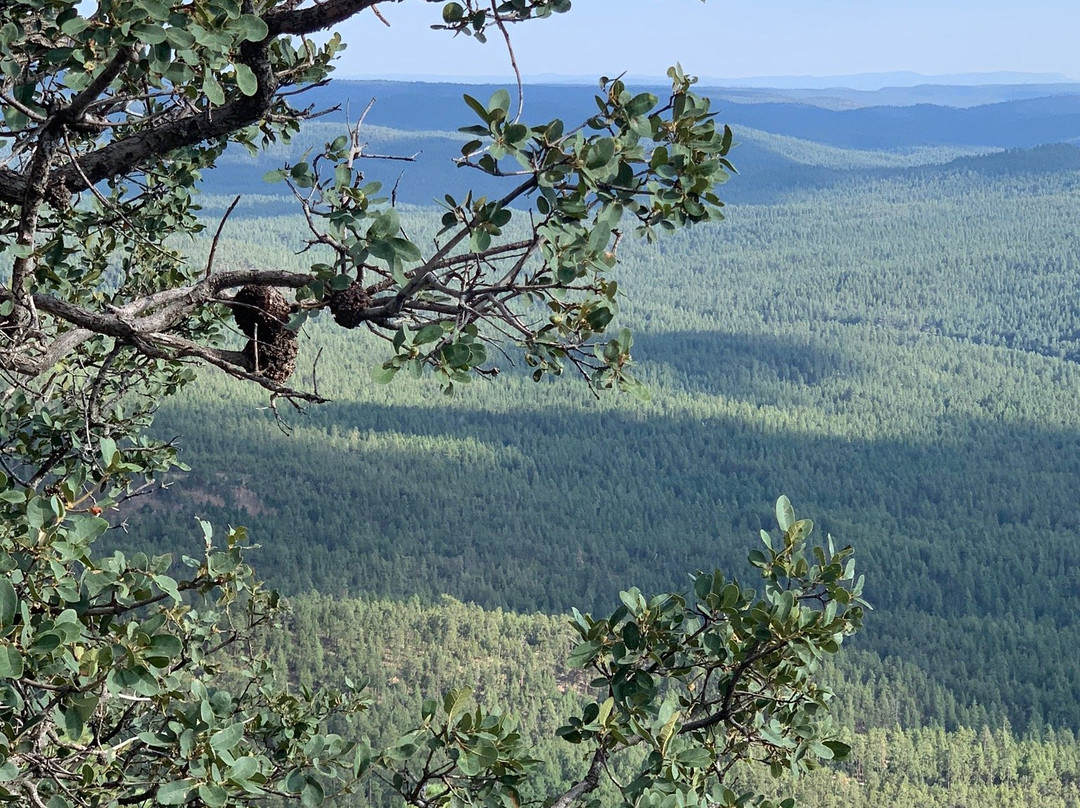 Mogollon Rim-Payson必去景点