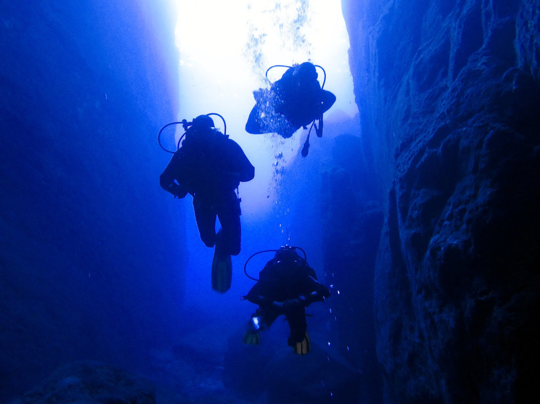 Deep Blue Azores Diving Center-亚速尔群岛英雄港中心区必去景点