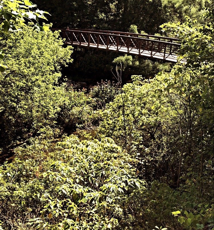 Morrison Dam Conservation Area景点图片