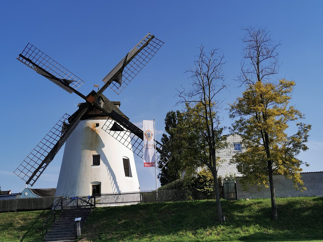 Windmühle Podersdorf am See景点图片