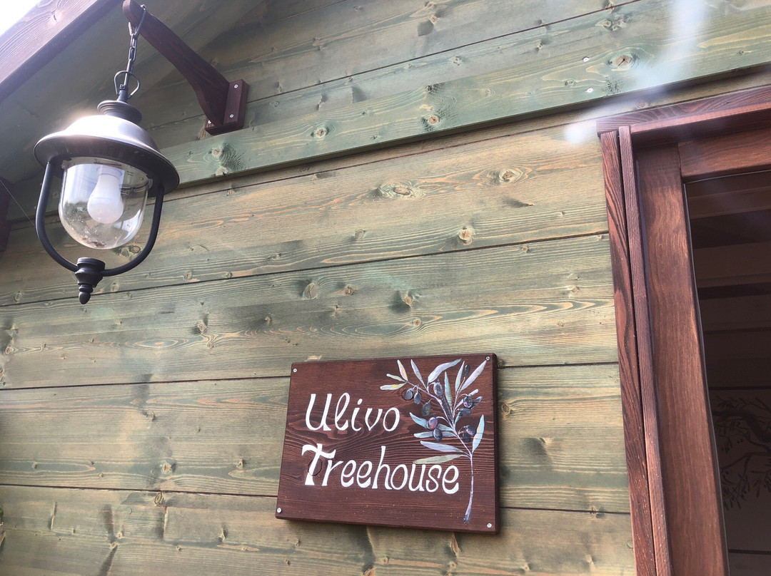 Palazzo Conforti主图