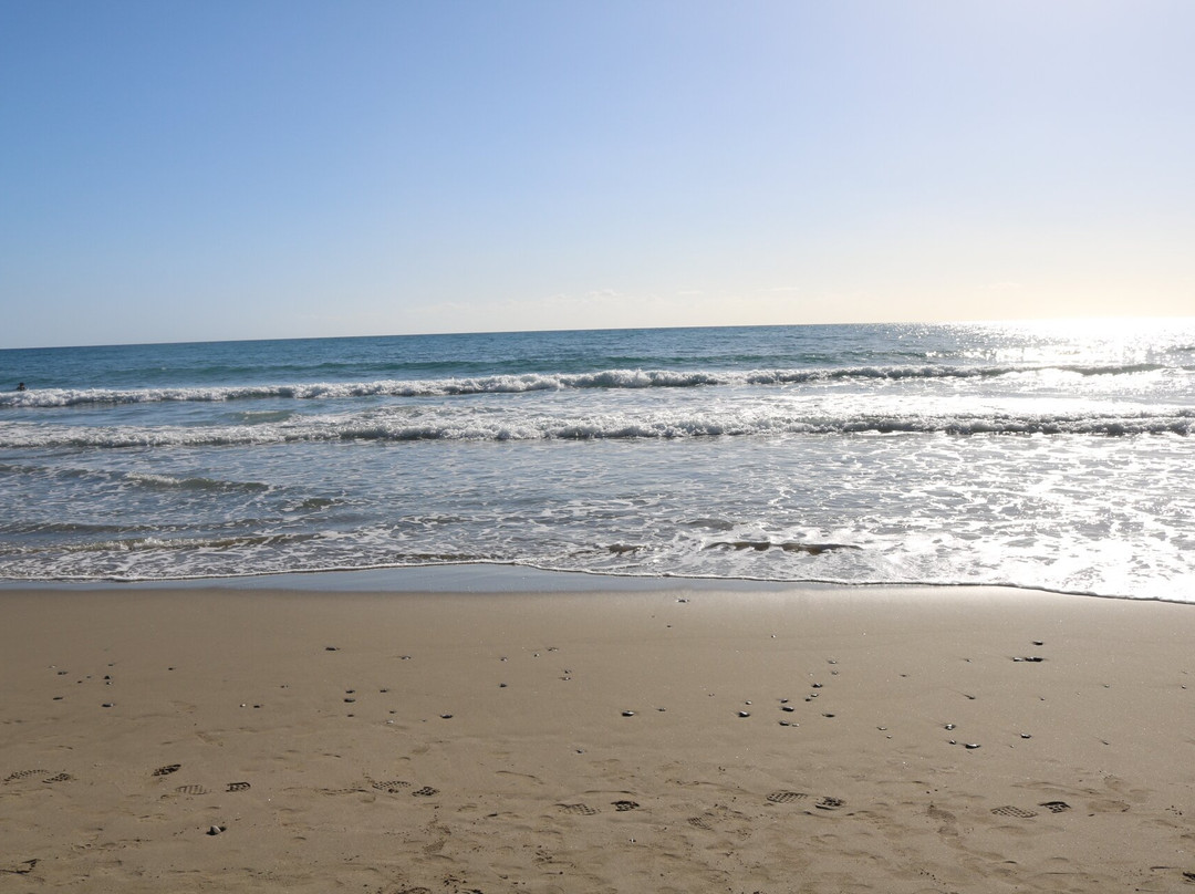 Spiaggia Marina di Pisciotta景点图片