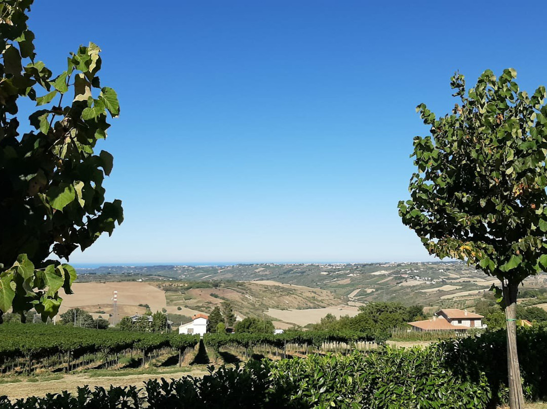 Agriturismo Colle Tripio主图