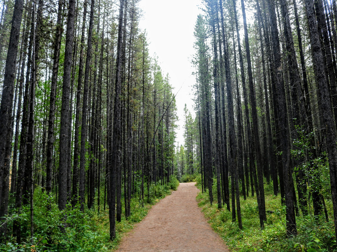 Troll Falls-卡那那斯基斯必去景点