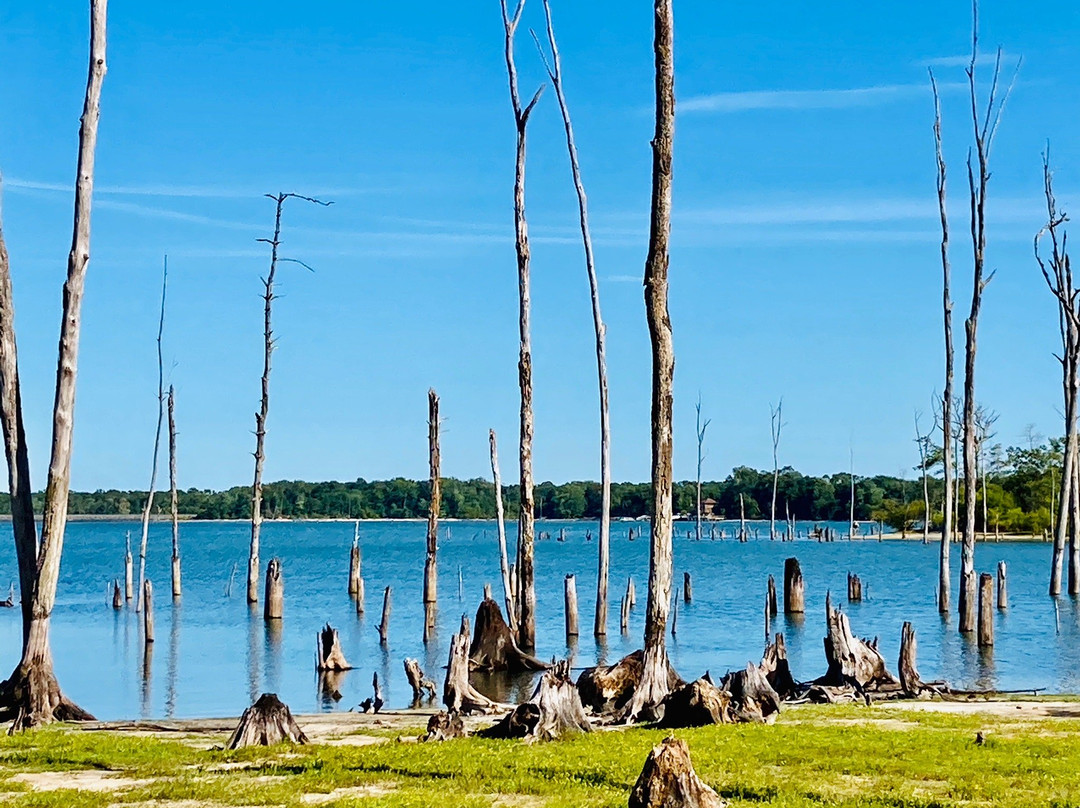 Manasquan Reservoir Visitor Center景点图片