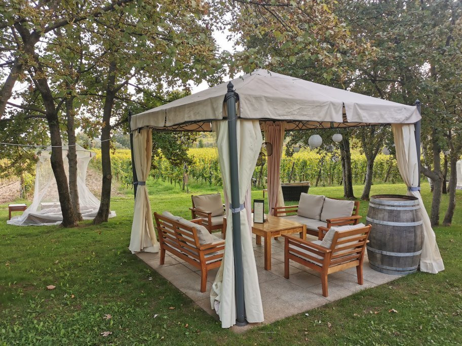 Azienda Agricola Masserino景点图片