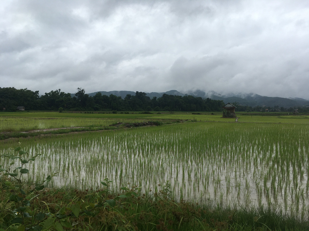 Luang Namtha Valley Route-琅南塔必去景点