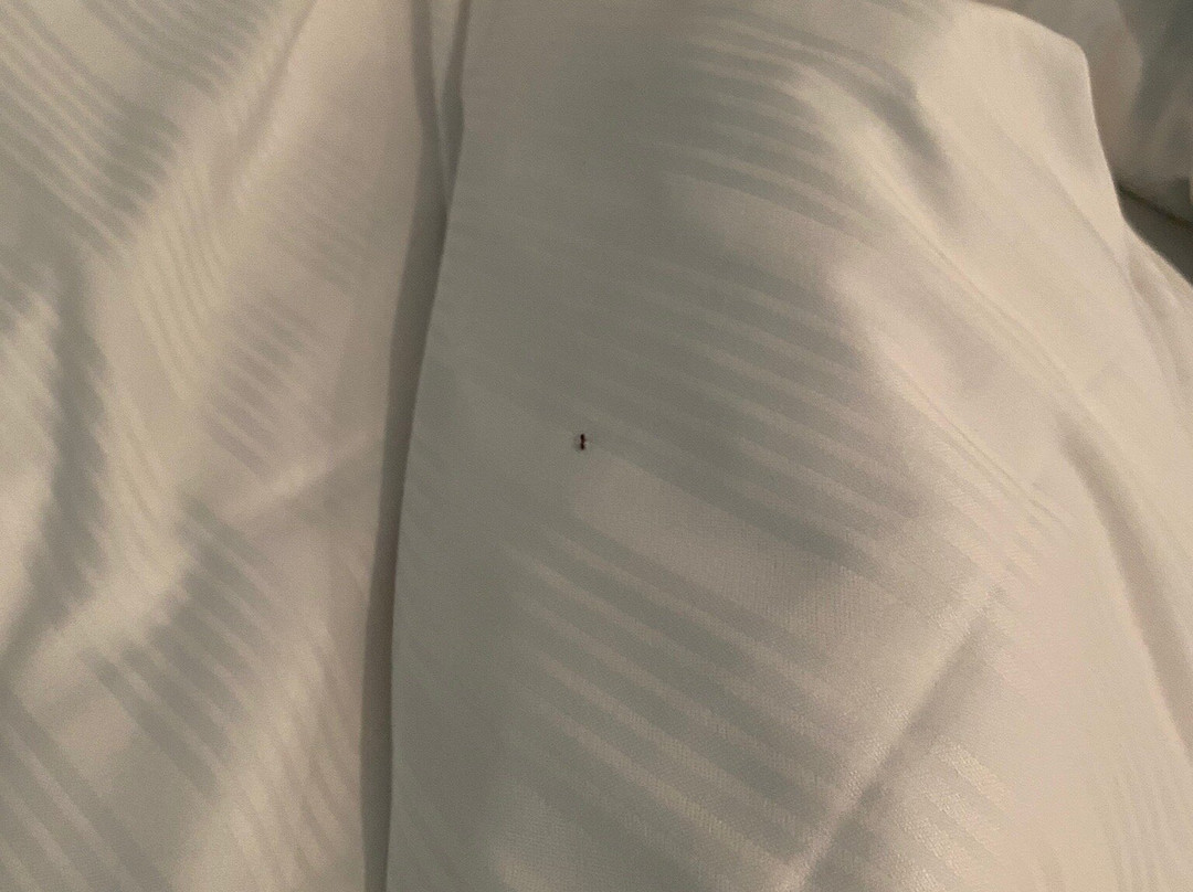 水晶酒店主图