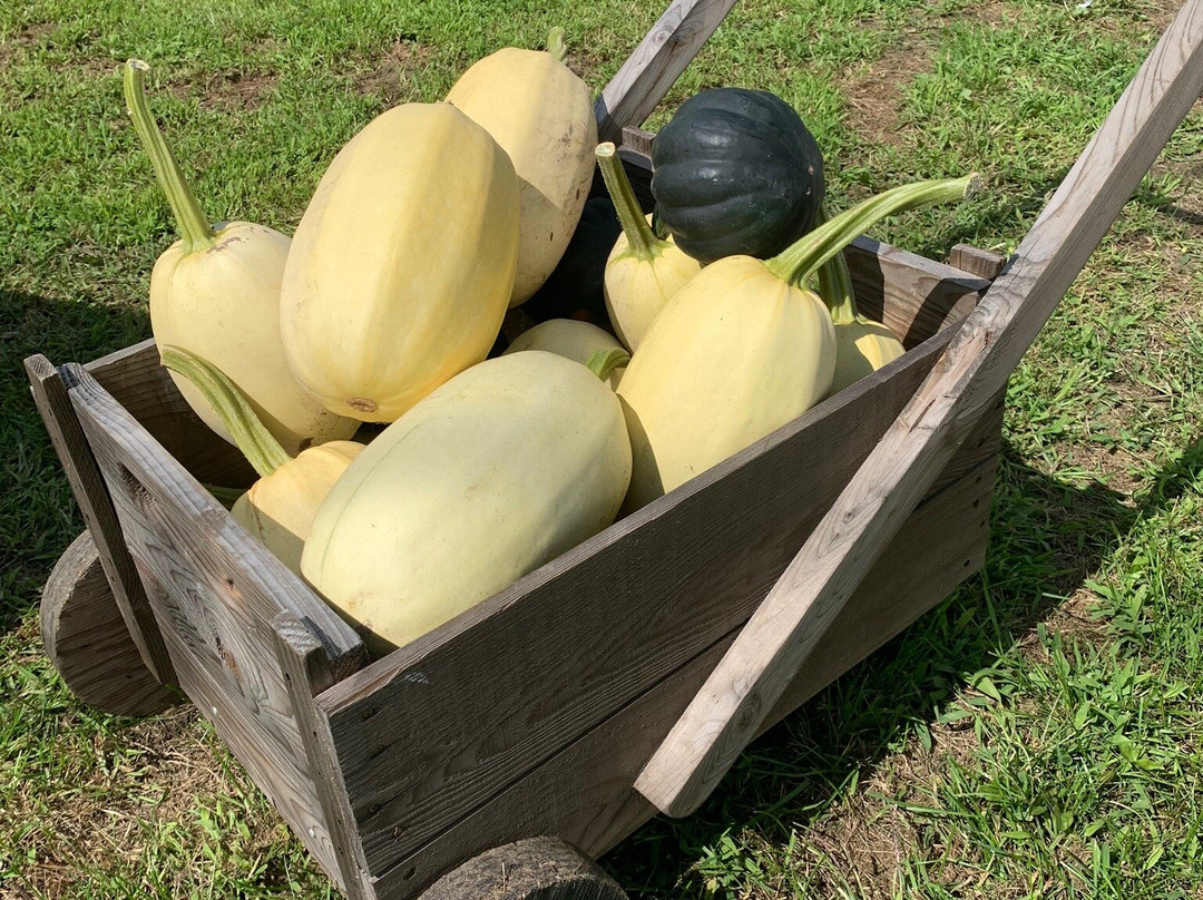 Cidrerie Michel Jodoin-Rougemont必去景点