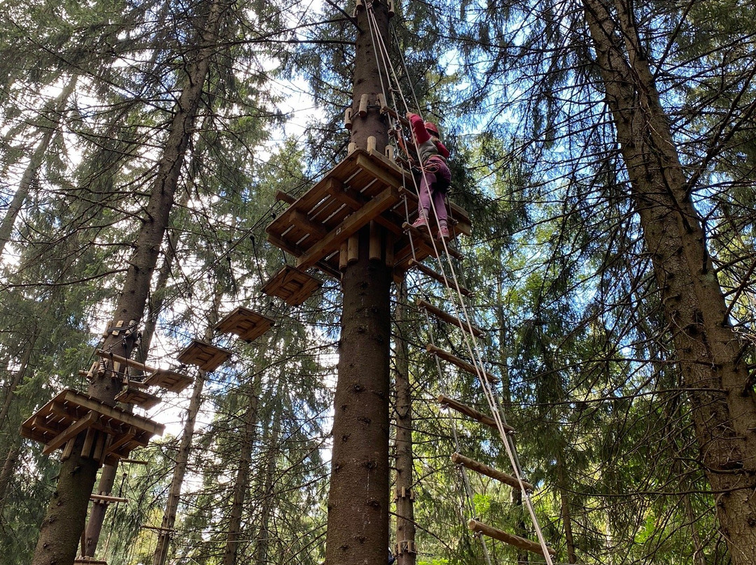 Oslo Klatrepark-奥斯陆必去景点